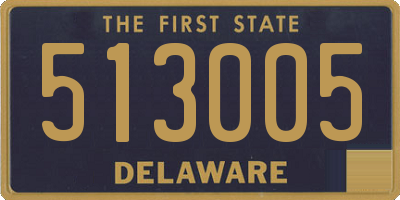 DE license plate 513005