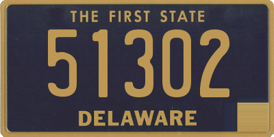 DE license plate 51302