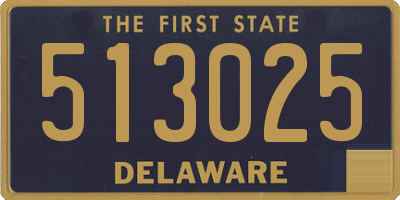 DE license plate 513025