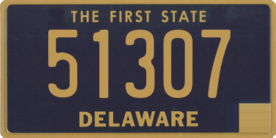 DE license plate 51307