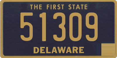 DE license plate 51309