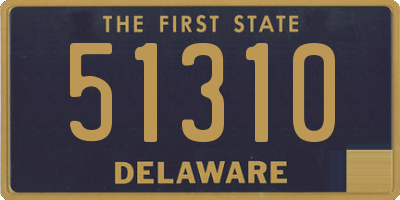 DE license plate 51310