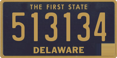 DE license plate 513134