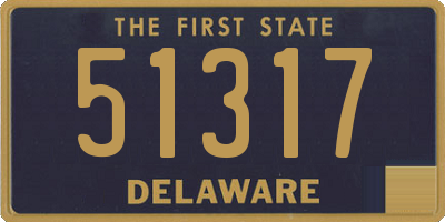 DE license plate 51317