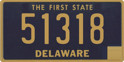 DE license plate 51318