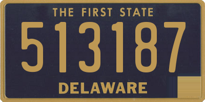 DE license plate 513187