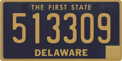 DE license plate 513309