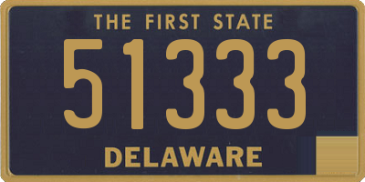 DE license plate 51333