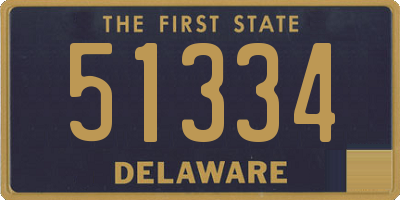 DE license plate 51334