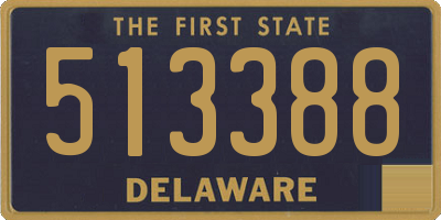 DE license plate 513388