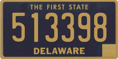 DE license plate 513398