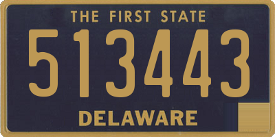 DE license plate 513443