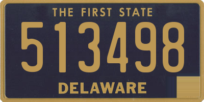 DE license plate 513498