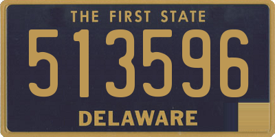 DE license plate 513596