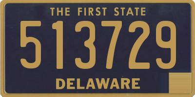 DE license plate 513729