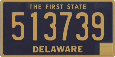 DE license plate 513739