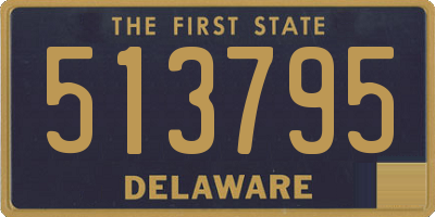 DE license plate 513795
