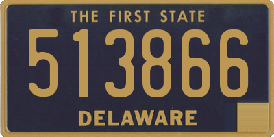 DE license plate 513866