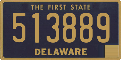 DE license plate 513889