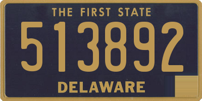 DE license plate 513892