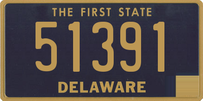 DE license plate 51391