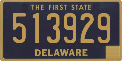 DE license plate 513929