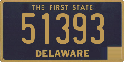 DE license plate 51393