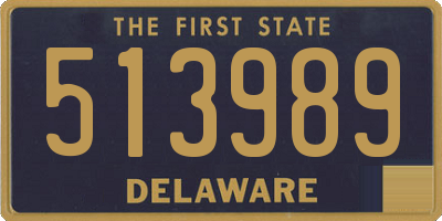 DE license plate 513989