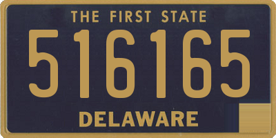 DE license plate 516165