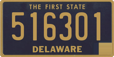 DE license plate 516301