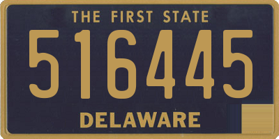 DE license plate 516445