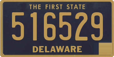 DE license plate 516529