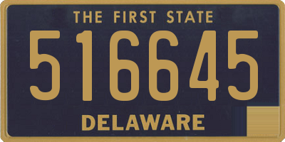 DE license plate 516645