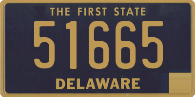 DE license plate 51665