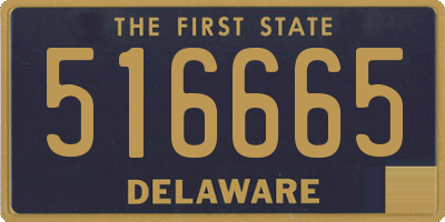 DE license plate 516665