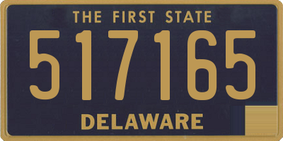 DE license plate 517165