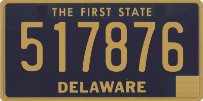 DE license plate 517876