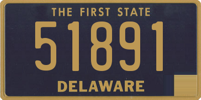 DE license plate 51891