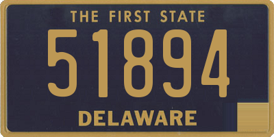 DE license plate 51894