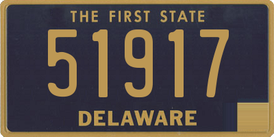 DE license plate 51917