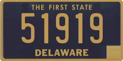 DE license plate 51919