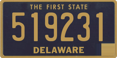 DE license plate 519231