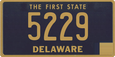 DE license plate 5229