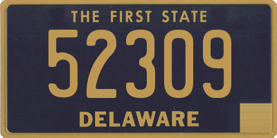 DE license plate 52309