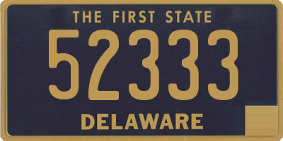 DE license plate 52333