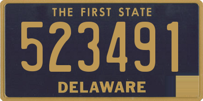 DE license plate 523491