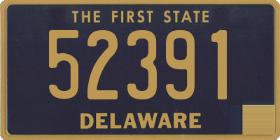 DE license plate 52391