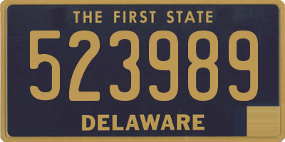 DE license plate 523989