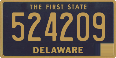 DE license plate 524209