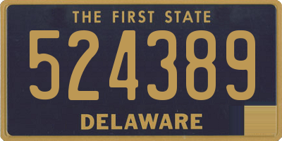 DE license plate 524389